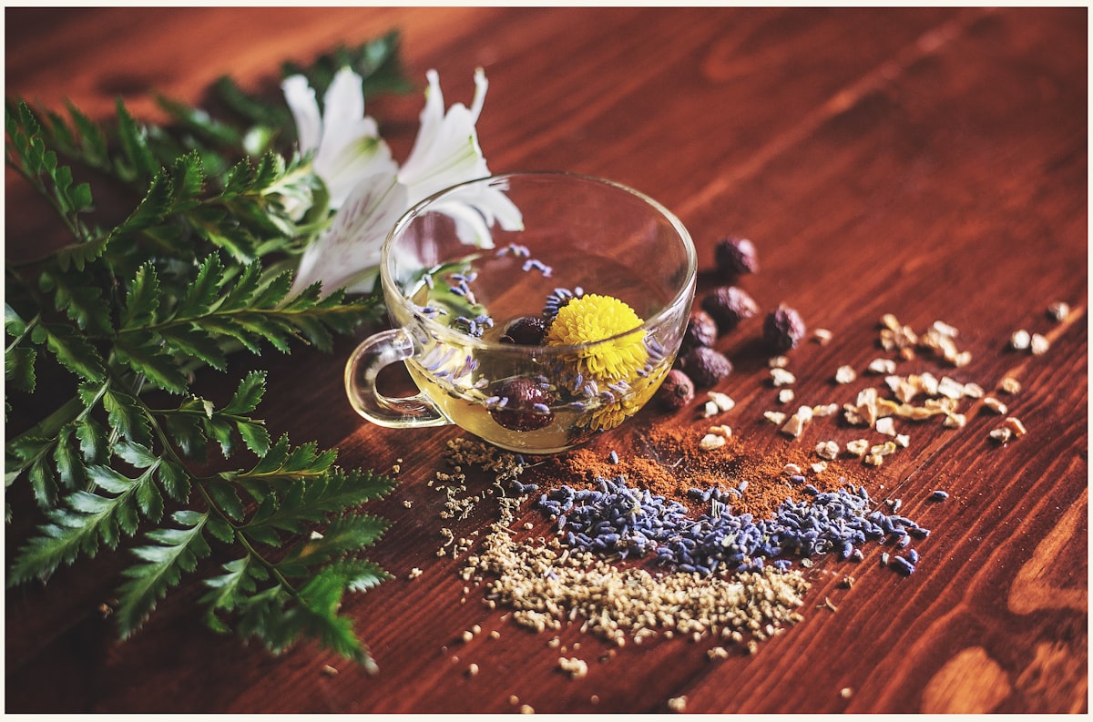 Seasonal wellness and traditional nutrition
